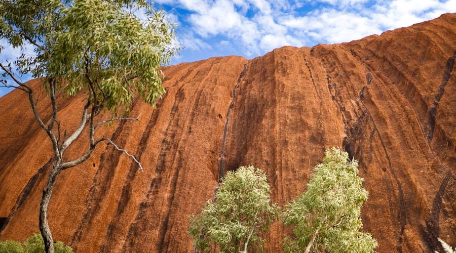 Australia travel news 2026-06-08
