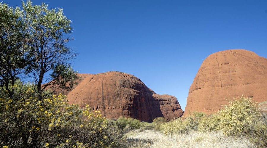 Australia travel news 2026-06-11
