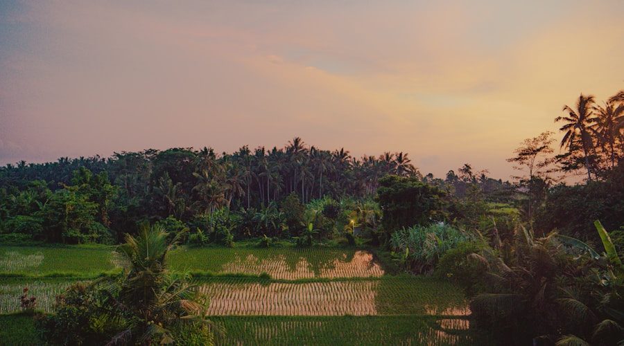 Bali travel news 2026-06-04