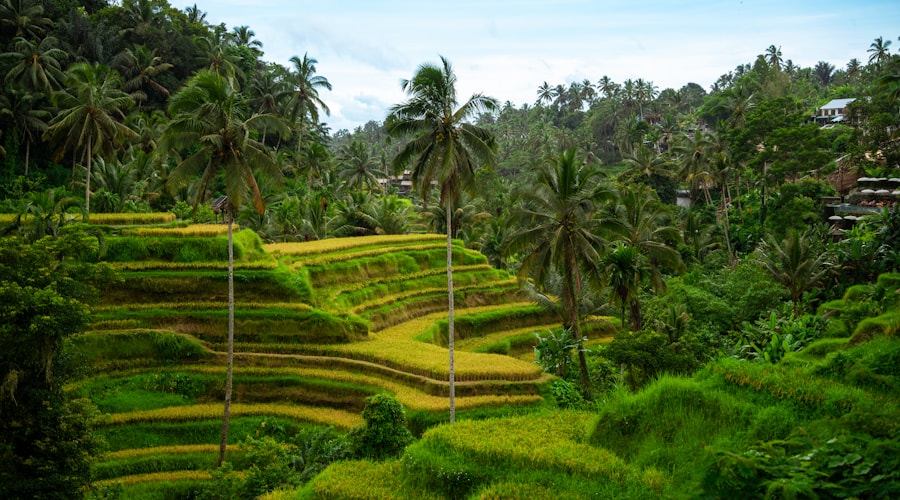 Bali travel news 2026-06-08