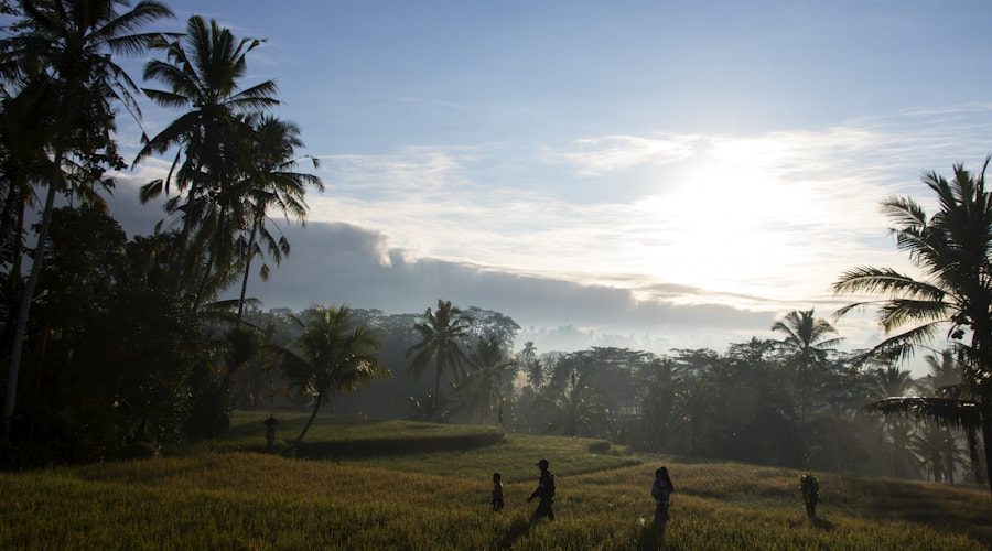 Bali travel news 2026-06-10