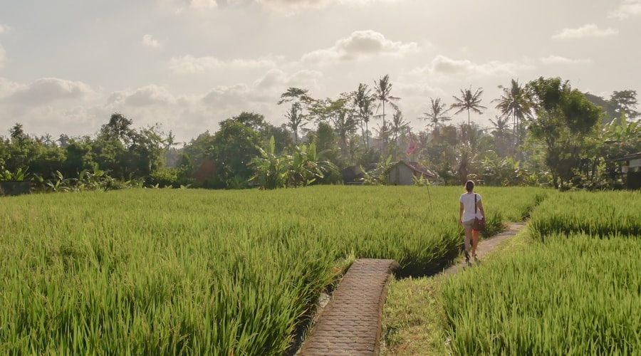 Bali travel news 2026-06-15