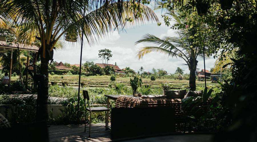 Bali travel news 2026-06-16