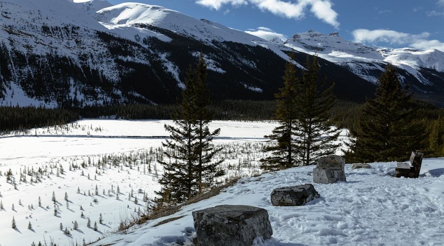 Canada travel news 2026-06-12
