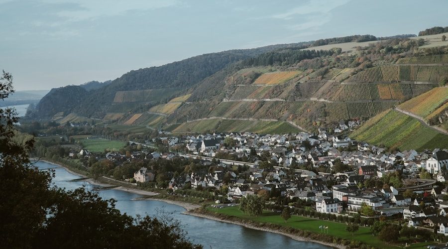 Germany travel news 2026-06-07