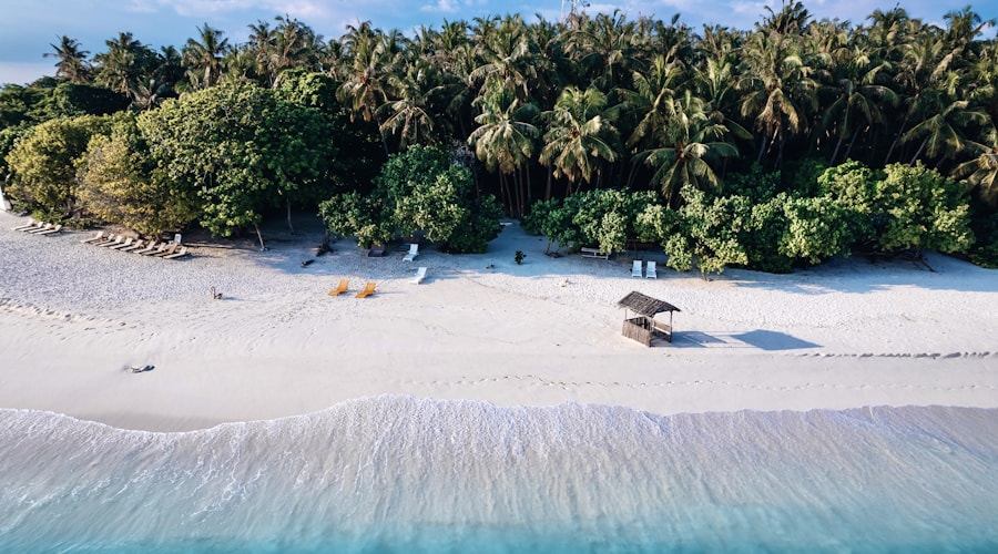 Maldives travel news 2026-06-08