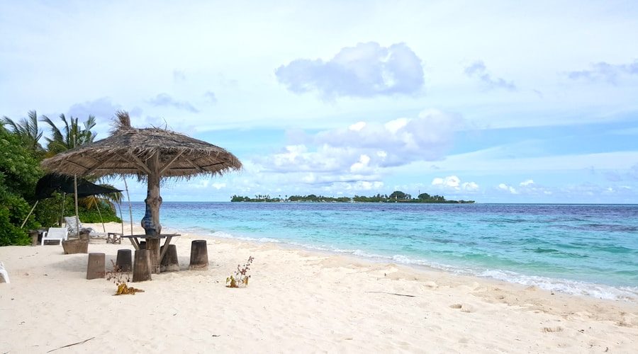 Maldives travel news 2026-06-11
