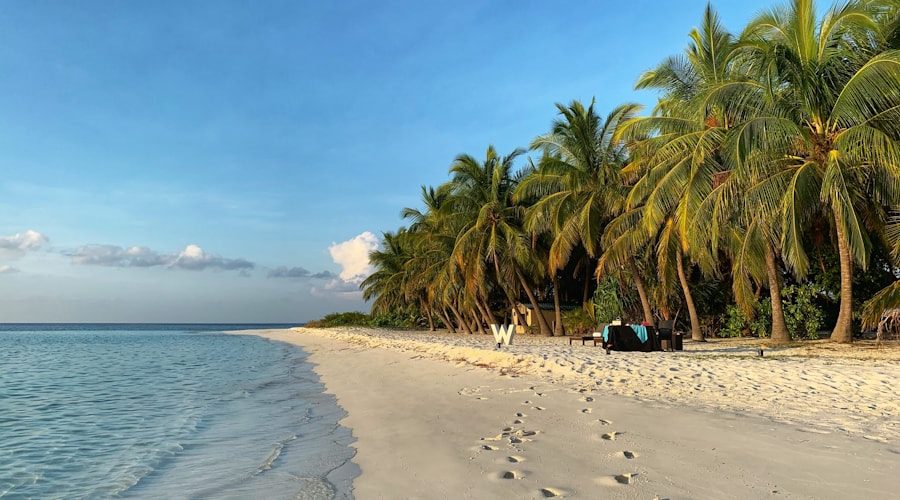 Maldives travel news 2026-06-16