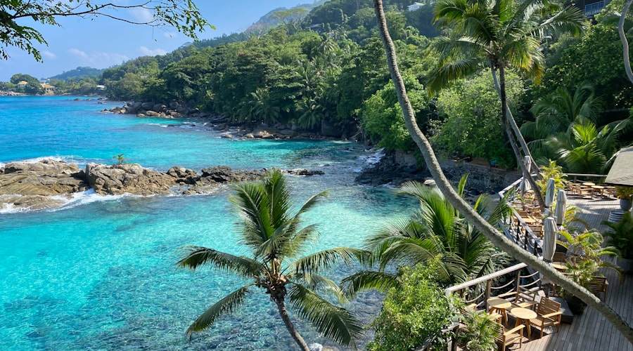 Seychelles travel news 2026-06-04