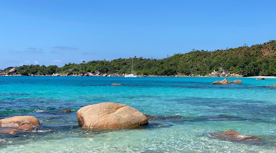 Seychelles travel news 2026-06-05