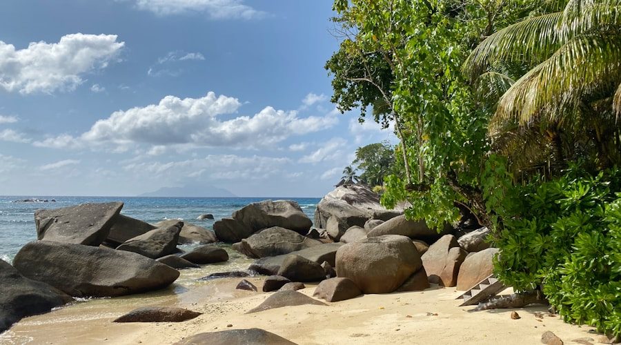 Seychelles travel news 2026-06-08