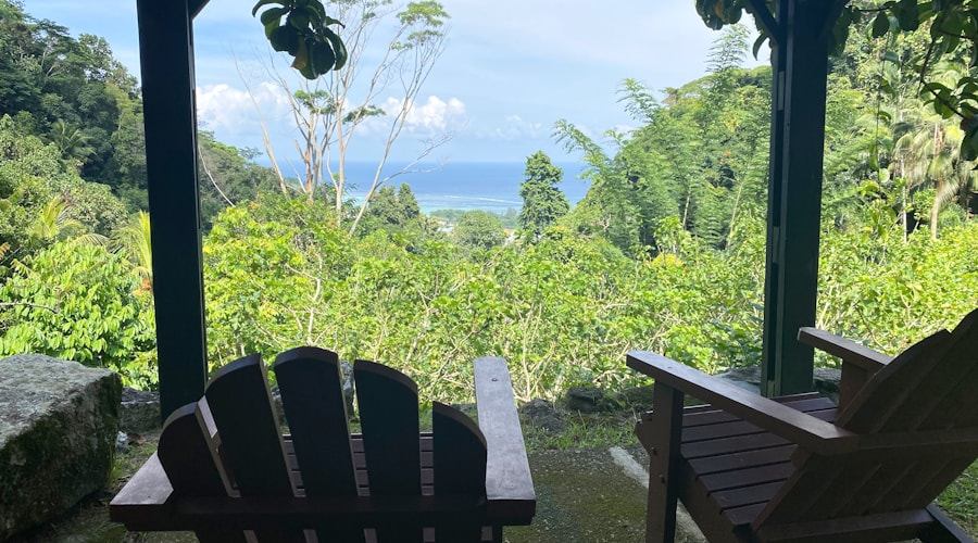 Seychelles travel news 2026-06-11