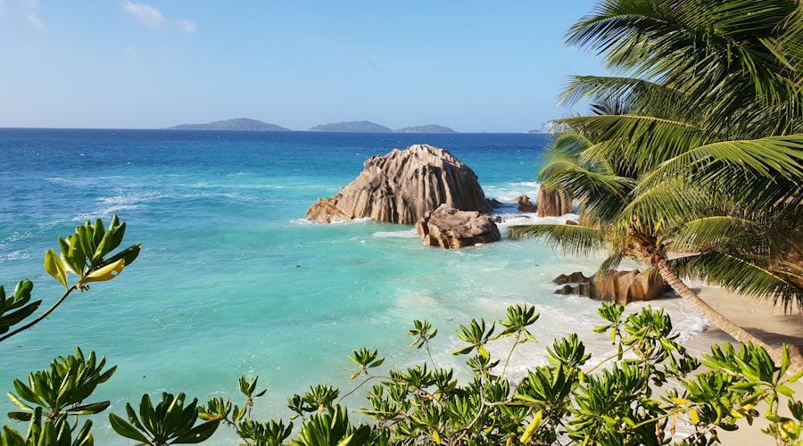 Seychelles travel news 2026-06-12