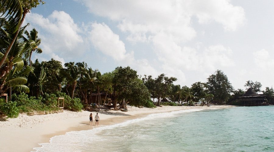 Seychelles travel news 2026-06-14