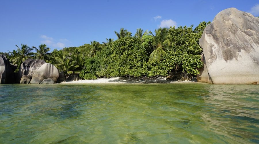 Seychelles travel news 2026-06-17