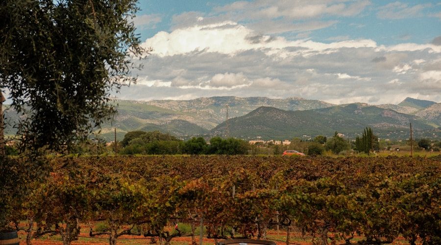 Spain travel news 2026-06-11
