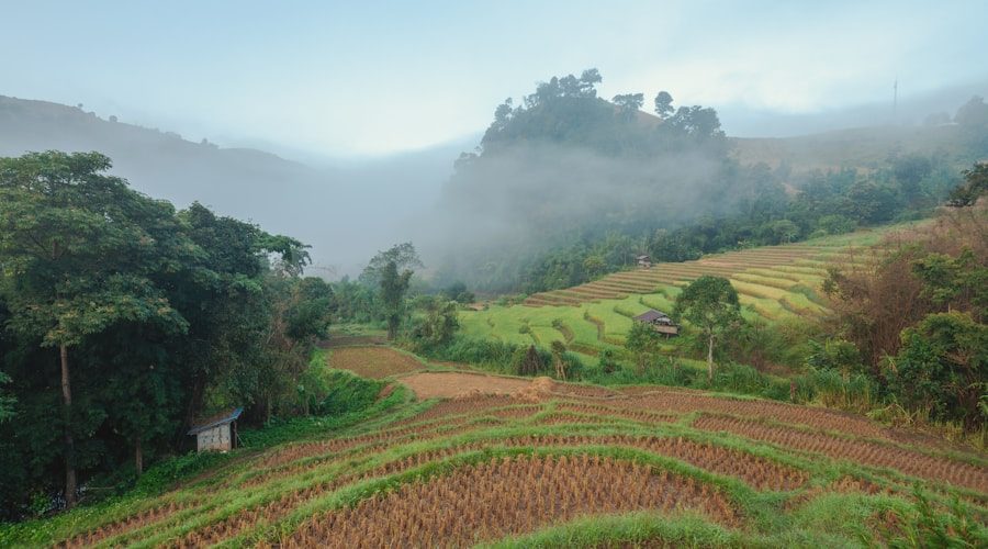 Thailand travel news 2026-06-13
