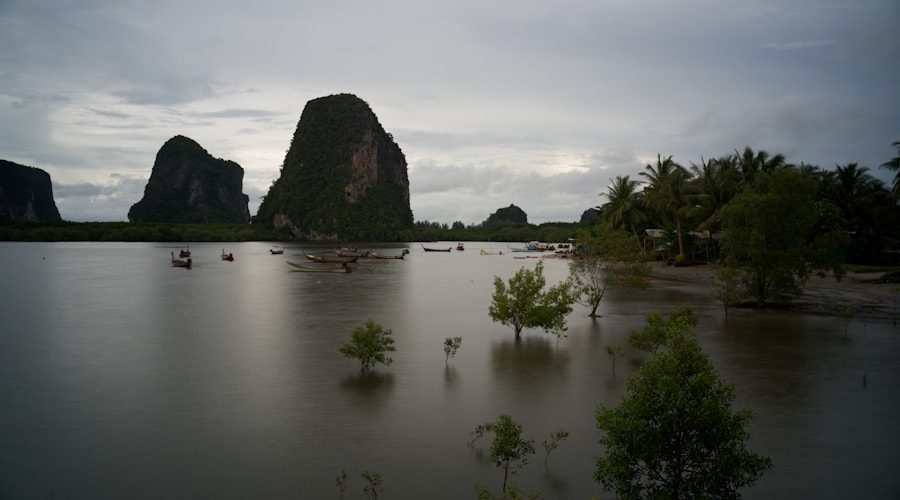 Thailand travel news 2026-06-15