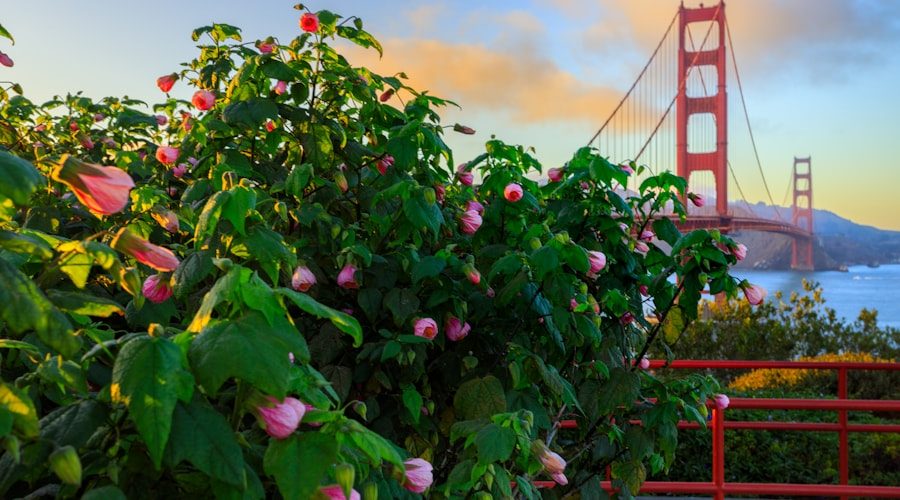 USA travel news 2026-06-10