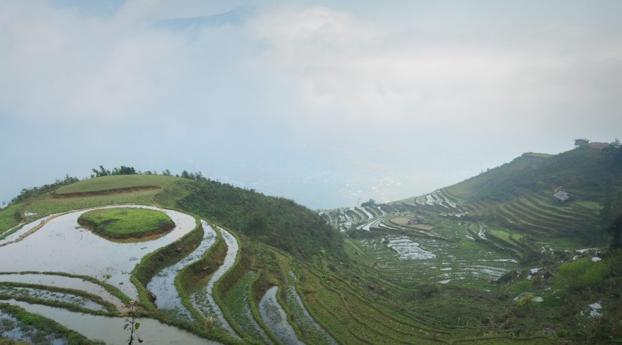 Vietnam travel news 2026-06-06