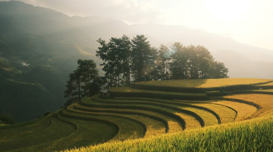 Vietnam travel news 2026-06-07