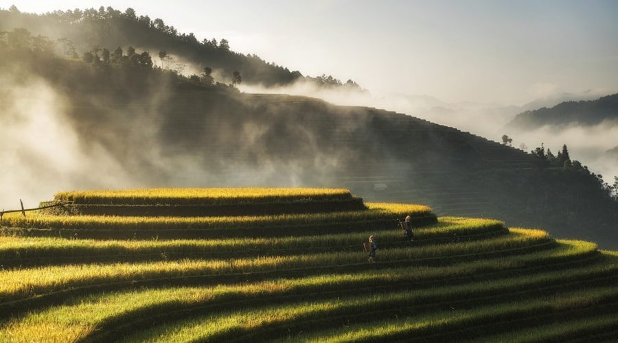 Vietnam travel news 2026-06-09